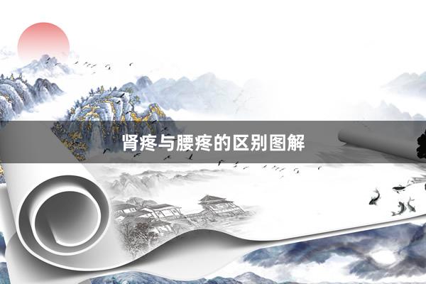 肾疼与腰疼的区别图解
